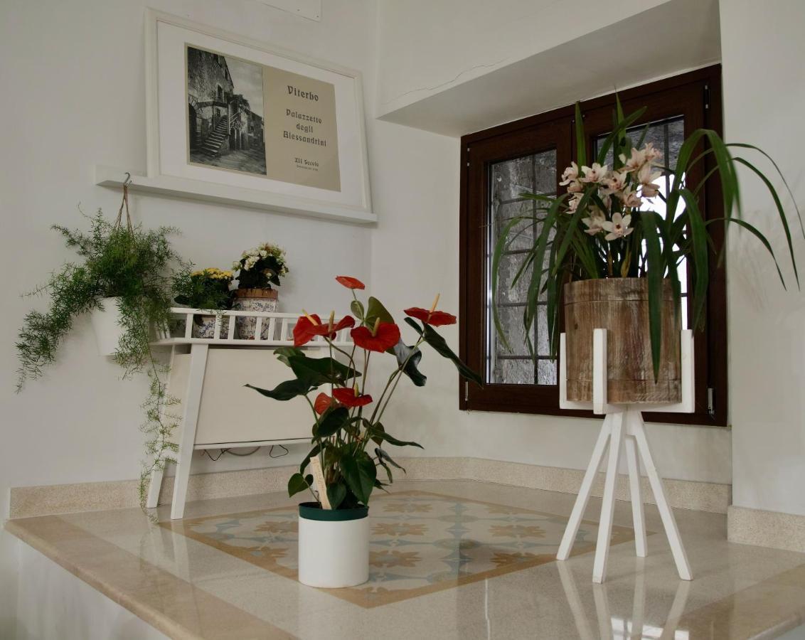 ויטרבו Palazzo Alessandrini Guest House מראה חיצוני תמונה
